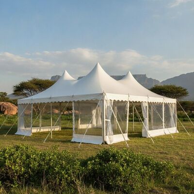 Tenda de festa personalizada África do Sul ao ar livre à prova d'água resistente a UV pavilhão de dossel de eventos para feiras de casamento